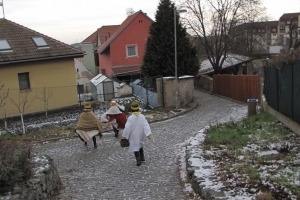 07