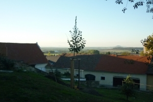 P1640306