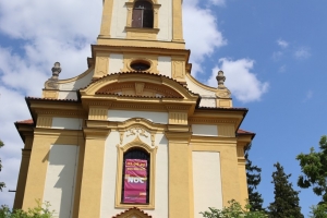 IMG_7288 (2)