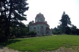06
