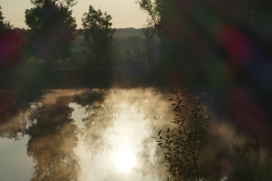 P1020412