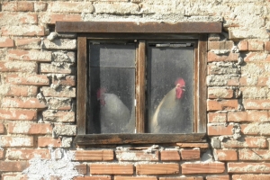 OV_2021