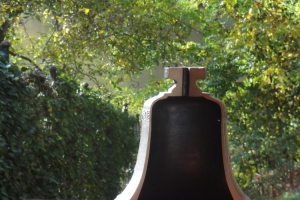 DSC02481